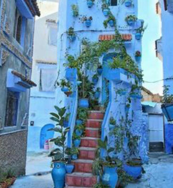 Appartement Casa Dreams Chaouen à Chefchaouen Extérieur photo