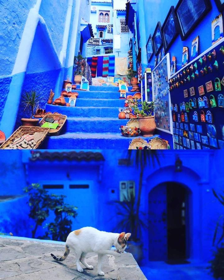 Appartement Casa Dreams Chaouen à Chefchaouen Extérieur photo